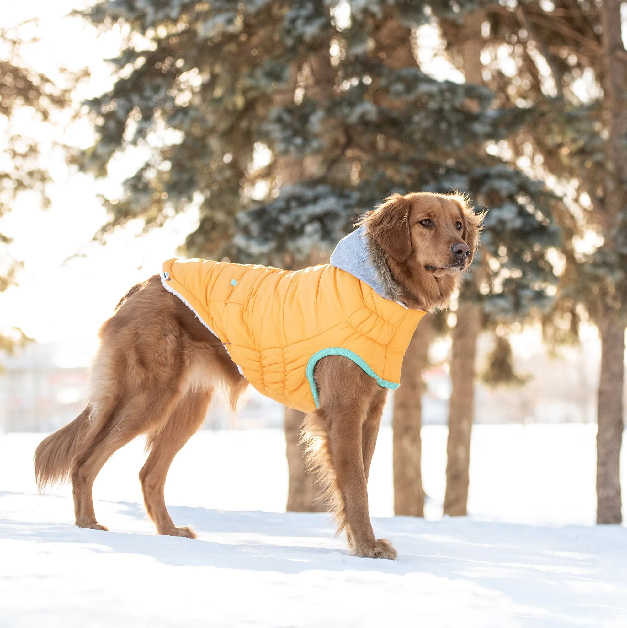 Winter Sailor Parka | PetPals®