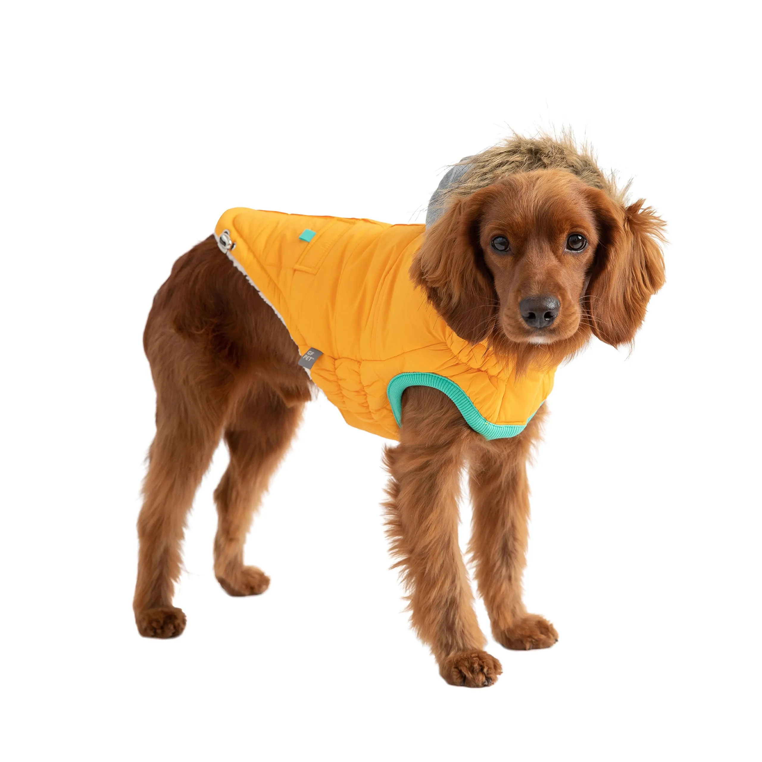 Winter Sailor Parka | PetPals®